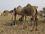 _b123646