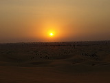 _b123672