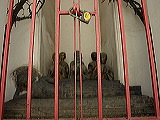 _b153870