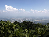_b163895