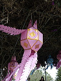 _b163900