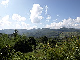 _b173923