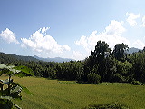 _b173944