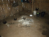 _b173950