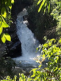 _b173955