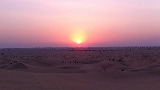img_0731