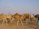 p1040955