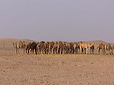 p1040956