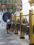 p1050105