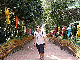 p1050120