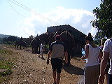 p1050145