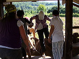 p1050163