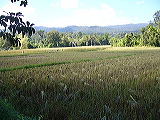 p1050205