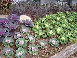 p1050283