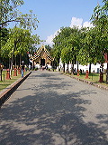 p1050321