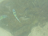 p1050533