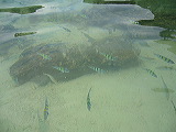 p1050535