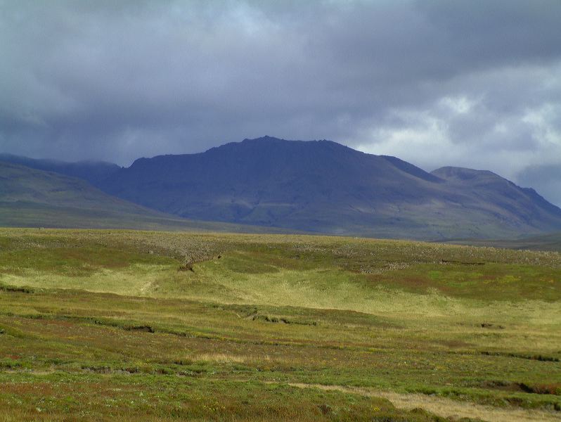 dscf0046.jpg