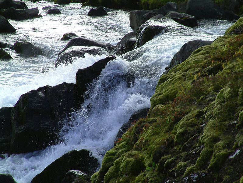 dscf0058.jpg