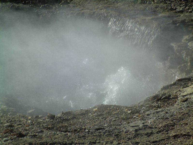 dscf0134.jpg