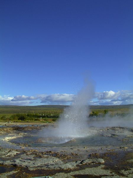dscf0141.jpg