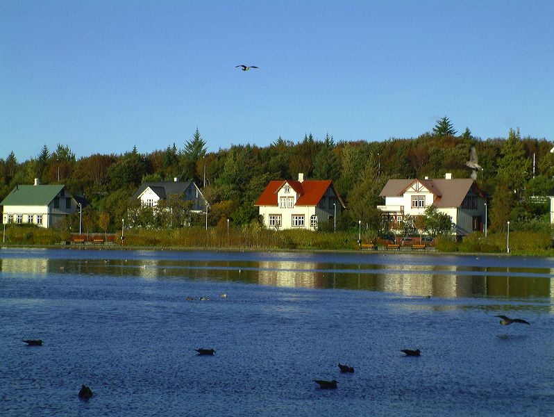 dscf0170.jpg