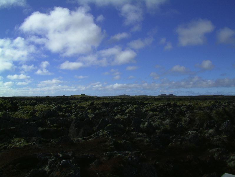 dscf0207.jpg