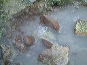 dscf0035