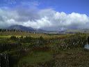 dscf0095