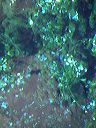 dscf0098