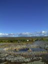 dscf0137