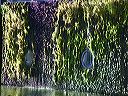 dscf0178
