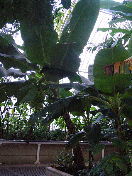 p1000487.jpg