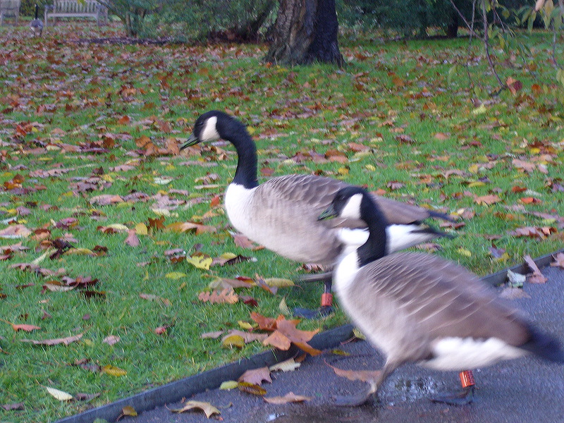 p1000488.jpg