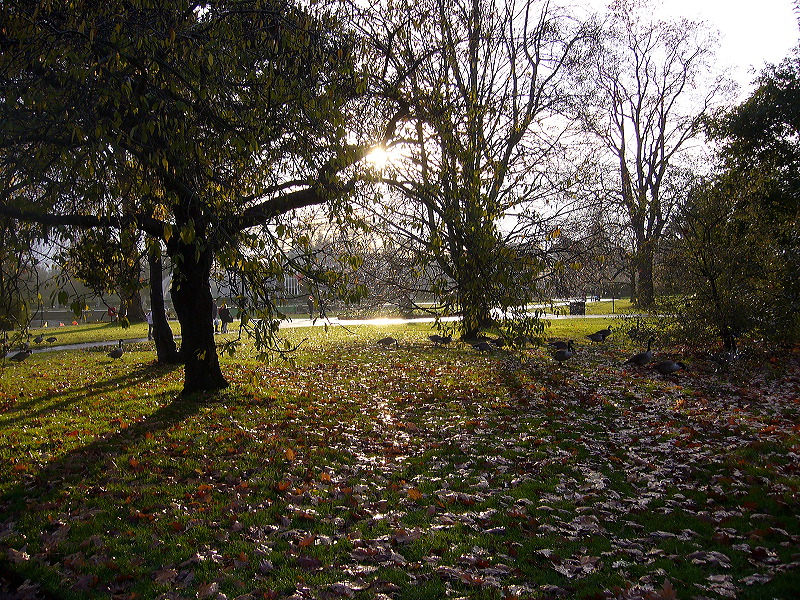 p1000490.jpg
