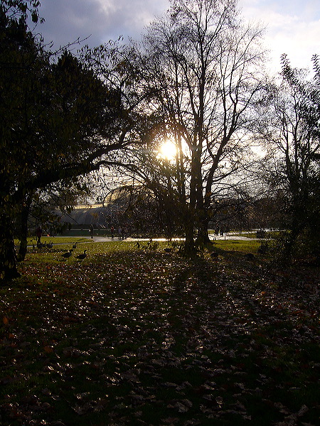 p1000493.jpg