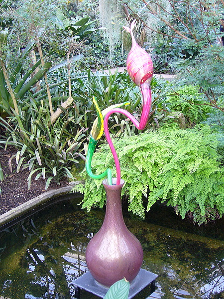 p1000497.jpg
