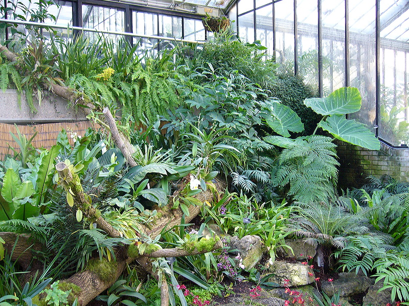 p1000498.jpg