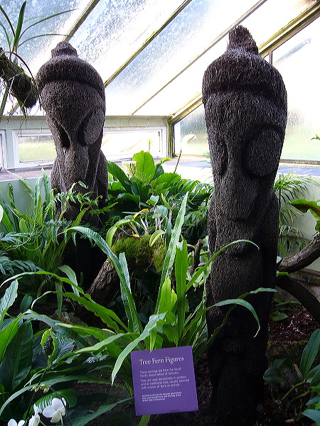 p1000499.jpg