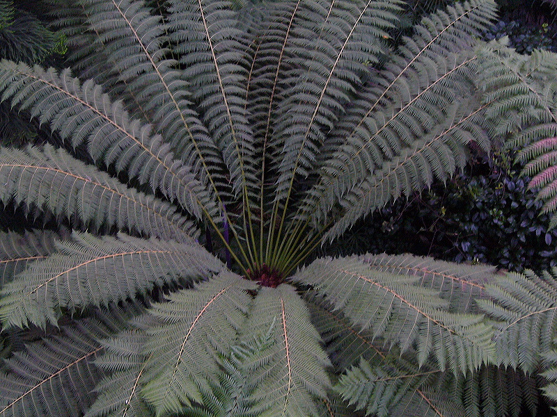 p1000509.jpg