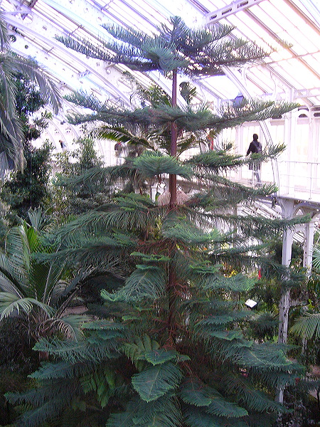 p1000510.jpg