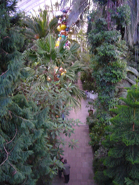 p1000511.jpg