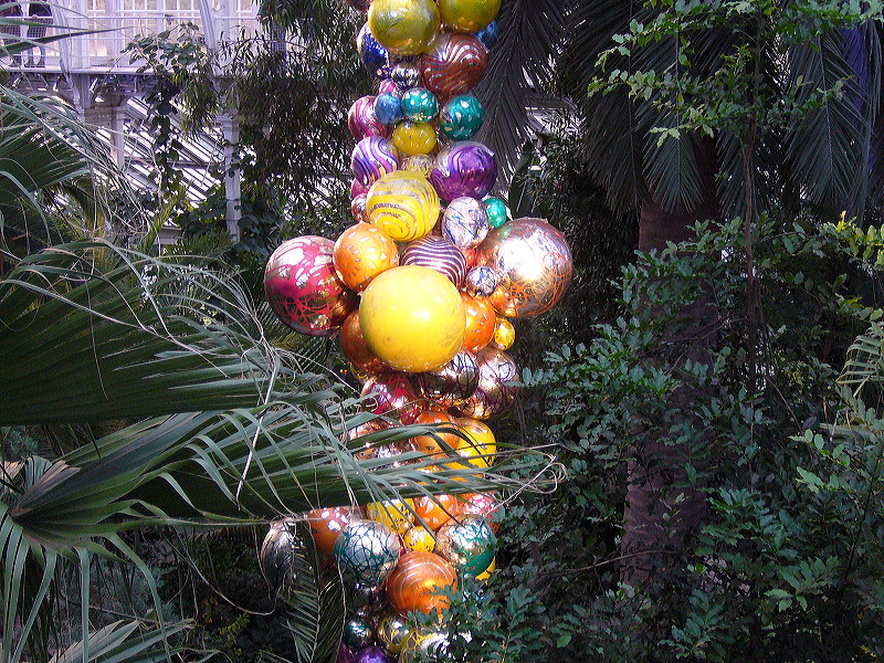 p1000513.jpg