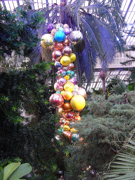 p1000514.jpg