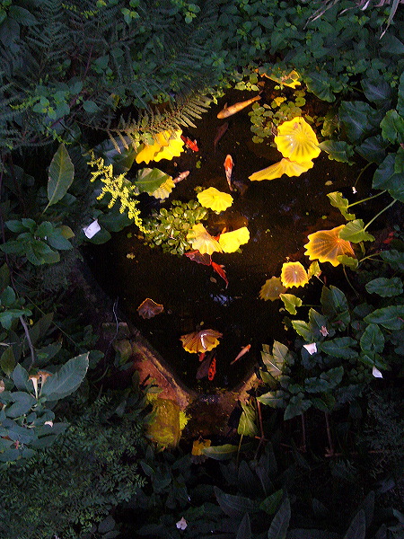 p1000515.jpg