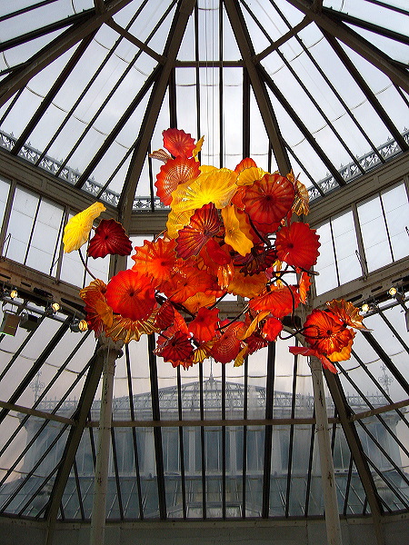 p1000517.jpg