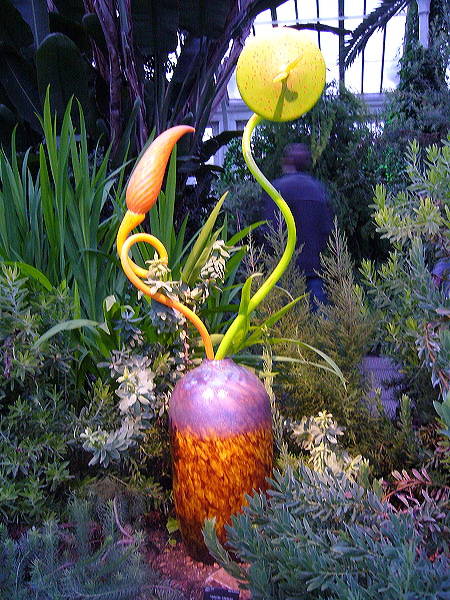 p1000521.jpg