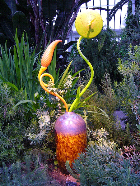 p1000522.jpg