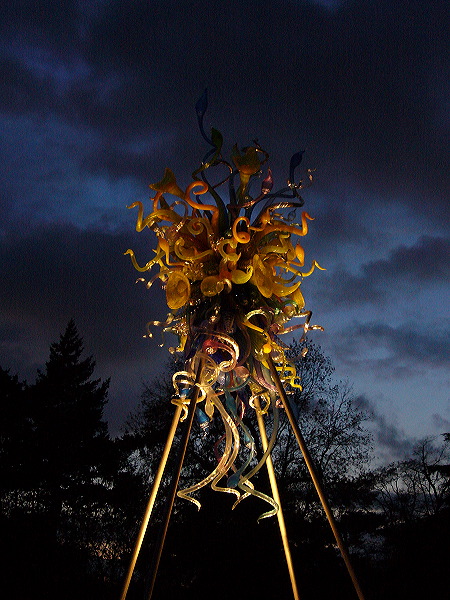 p1000538.jpg