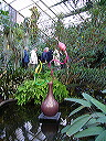 p1000496